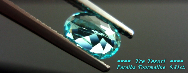 モザンビーク産パライバトルマリン☆オーバルシェイプ☆7x5mm☆0.81ct.