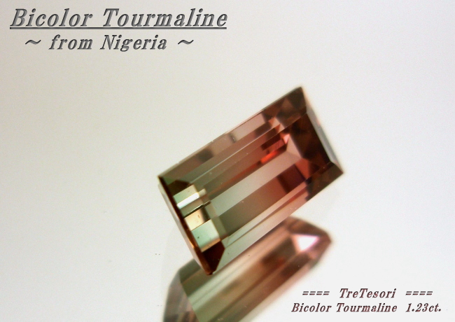 ナイジェリア産バイカラートルマリン☆レクタングルシェープ☆8.3x4.3mm☆1.23ct.