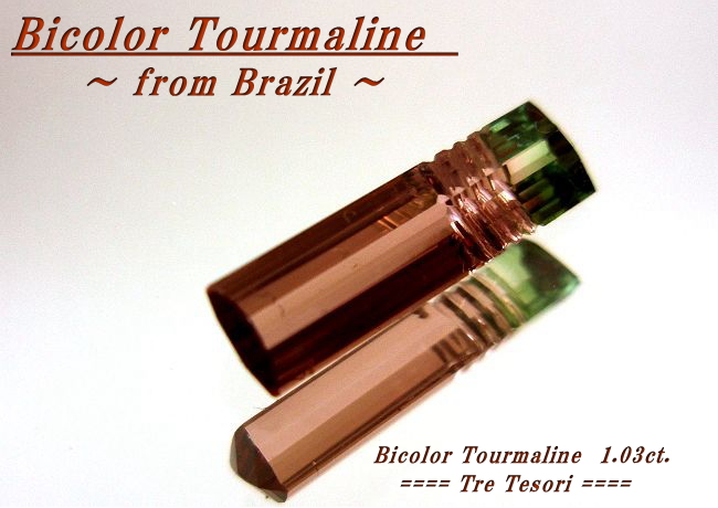 ブラジル産バイカラートルマリン☆ファンシーシェイプ☆12.5x3.5mm☆1.03ct.