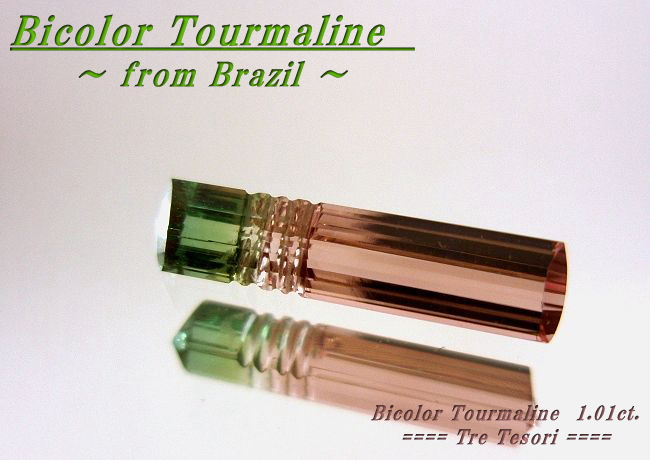 ブラジル産バイカラートルマリン☆ファンシーシェイプ☆13x3mm☆1.01ct.