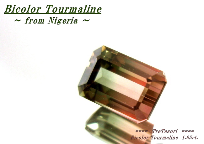 ナイジェリア産バイカラートルマリン☆オクタゴンシェープ☆8.3x5.4mm☆1.65ct.
