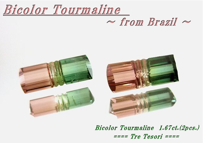 ブラジル産バイカラートルマリン（ペアセット）☆ファンシーシェイプ☆9.5x3.6mm☆1.67ct.