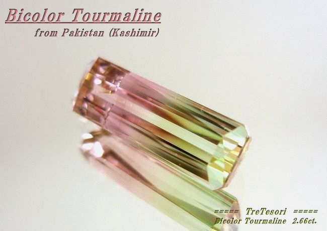 カシミール産バイカラートルマリン☆オクタゴン☆14.5x4.8mm☆2.66ct.