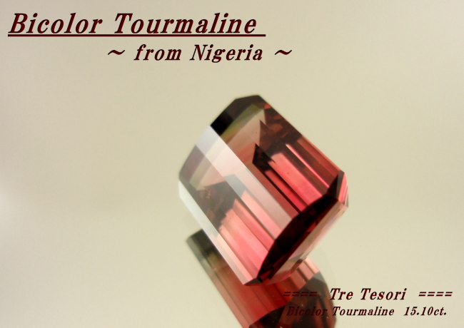 ナイジェリア産バイカラートルマリン☆オクタゴン16x12ｍｍ☆15.10ct.