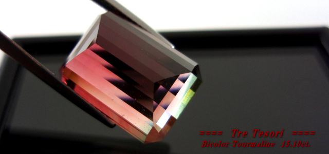ナイジェリア産バイカラートルマリン☆オクタゴン16x12ｍｍ☆15.10ct.